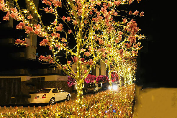 ��ľ����˸��-Ҫ֪��������׼