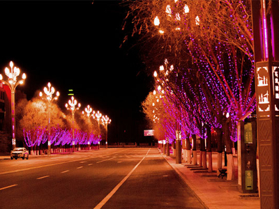 ����������-Ӧ֪�����˸����׼