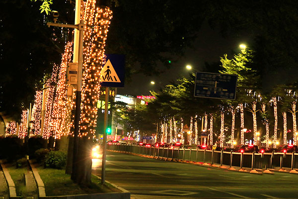 ��ľ�������-��ȷ��������ҹ������