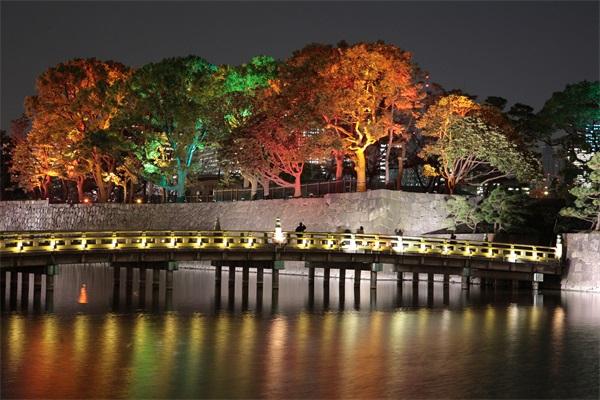 ��԰ҹ����������