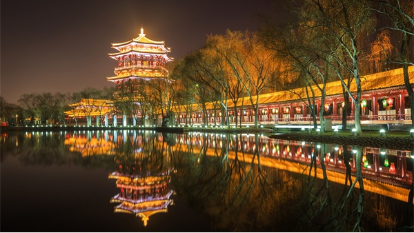 ������������Ӧ�����������������