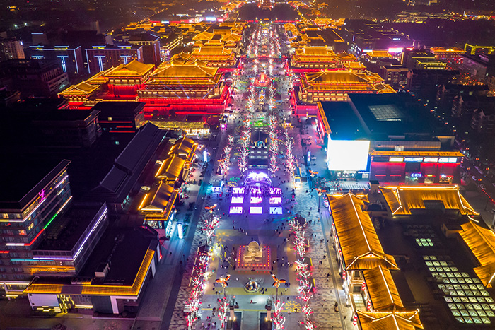 �������Ʋ�ҹ����������