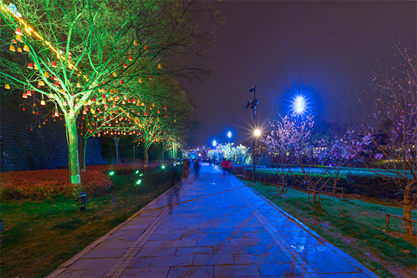 ��԰����