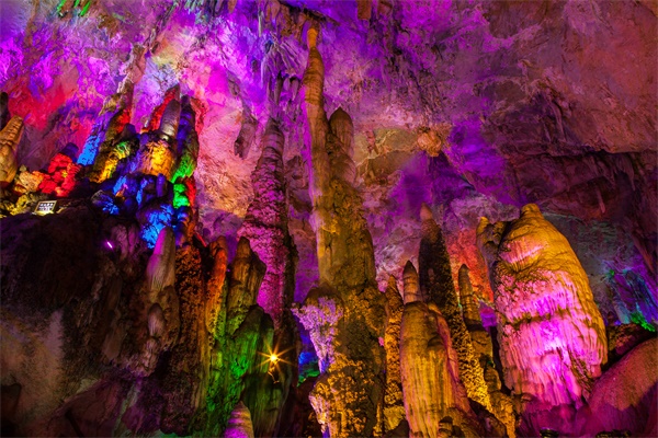 ������������Ӧ��Ҫ���յ�ԭ������������������