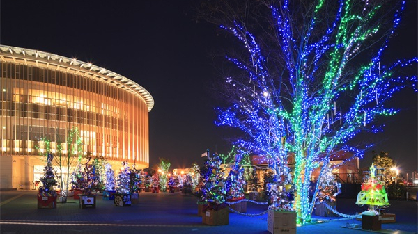 ����ȷ������ҹ����������ַ�����������������