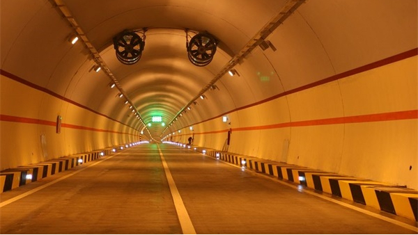 ������������Ӧ���������������������