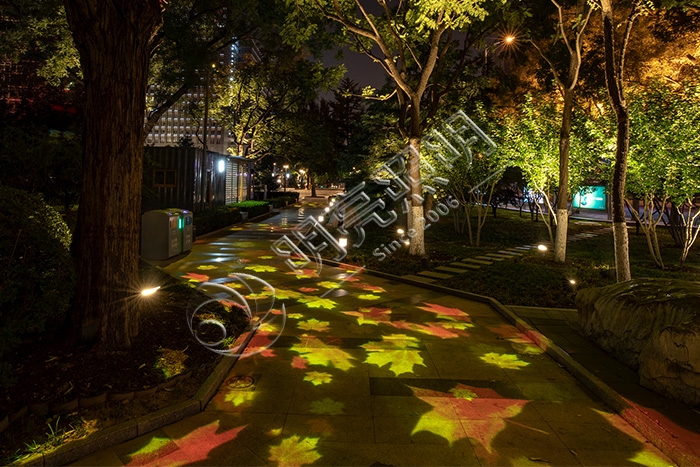 ����ҹ������