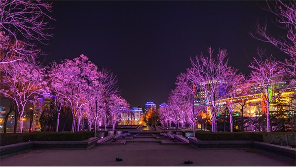 �õƹ������к��ִ�������԰���������