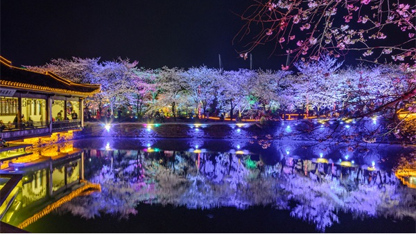 �����ƹ����������������������