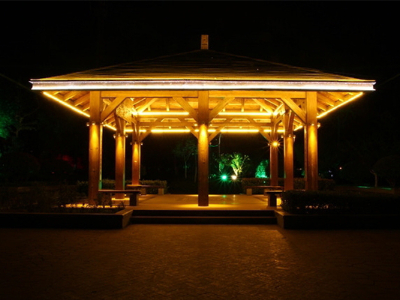 ��ͤ��������-��������������