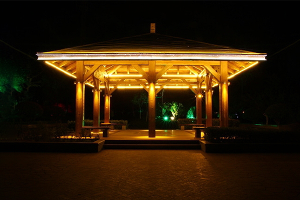 ��ͤ��������-��������������