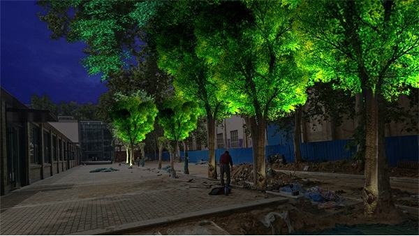 ֣ú������1985֥�����ľ��������