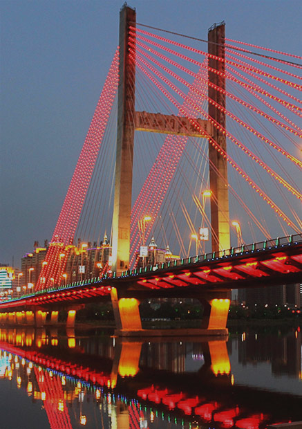 ��8ͷ�����(����)�ٷ���վ