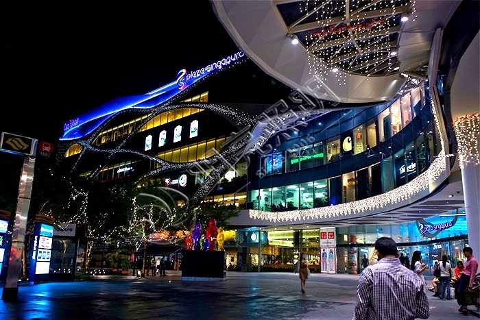 �a�_�����������