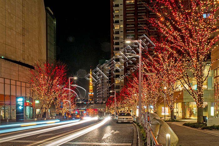 �е�������