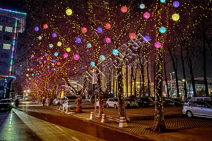 �ʵ��������