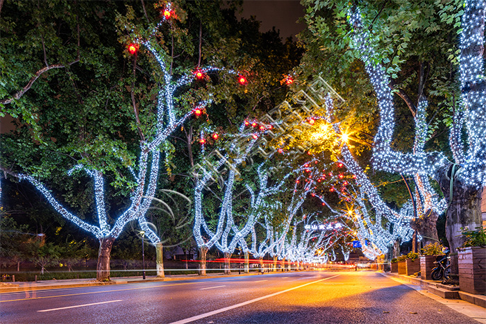 �辶��ľ��������