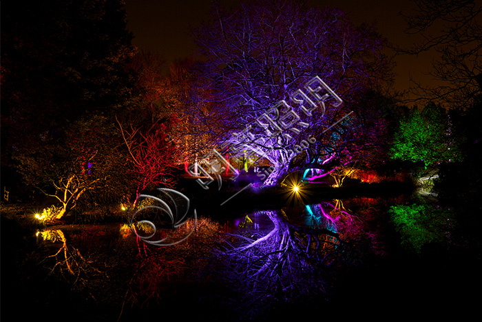 �������ʵ�����