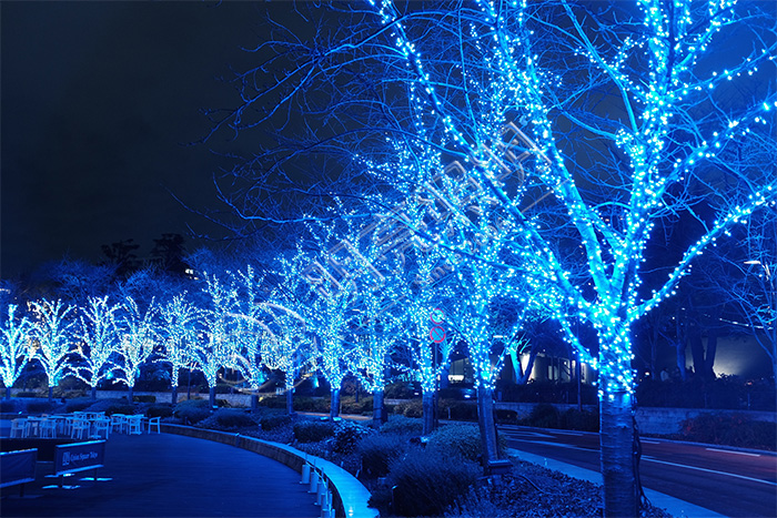 ��ľ��������