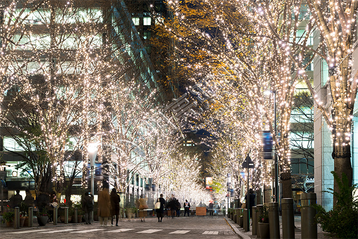 ������ľ����˸��