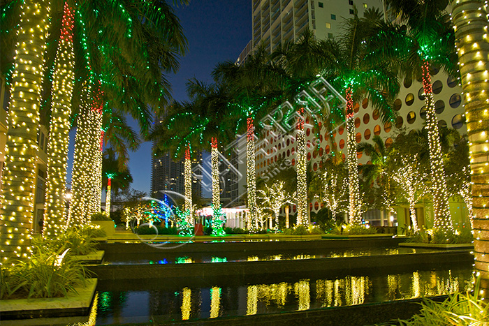 ��ľ����˸��