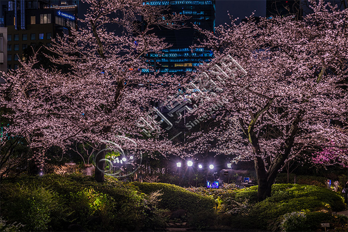 ������������