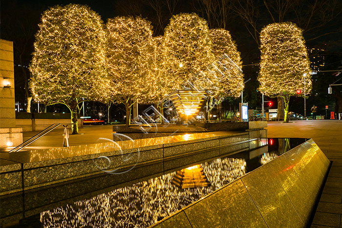 ��ľ��������