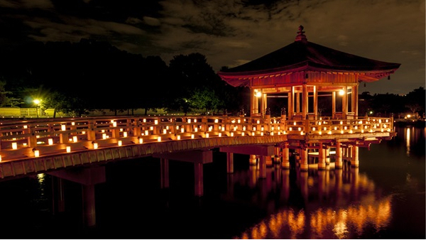 ����ҹ���ƹ�����Ӧ��ǰ�����������