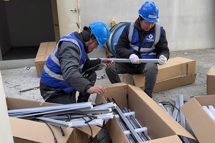 ��8ͷ���������8ͷ����һ�����ʩ���ֳ�