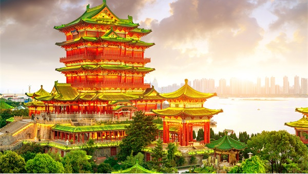 ����ҹ������������ƲŻ�����������ο�