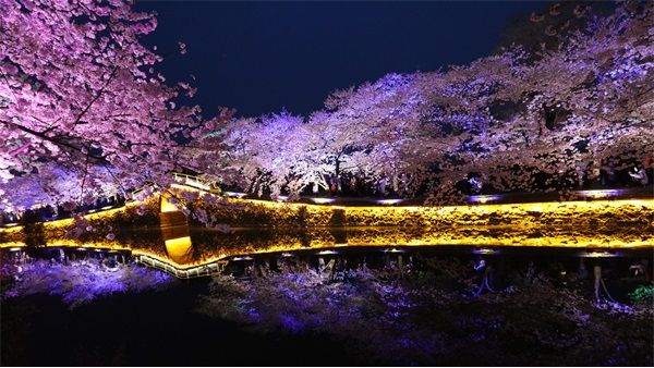 ���ᾰ������Ҫ�ִ�϶�Ϊһ��Ч��