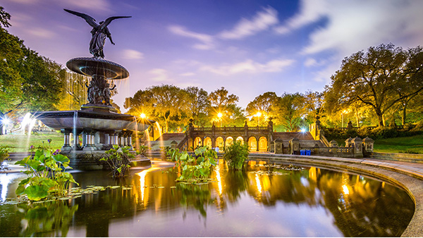 ��԰����������������Ż������ױ������������������