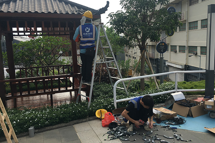 ��8ͷ����������������������Ŀʩ���ֳ�