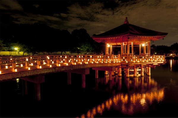 �����ƹ�ҹ��