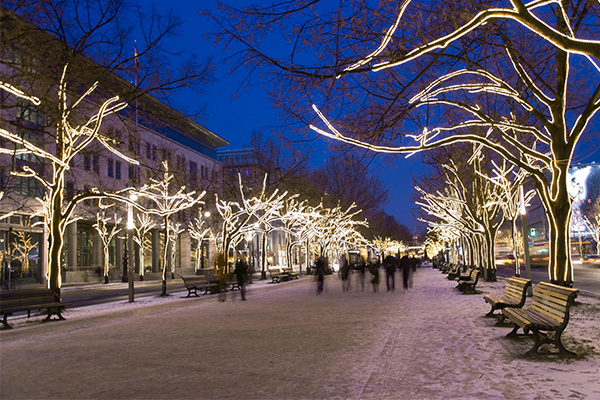 �ֵ��������