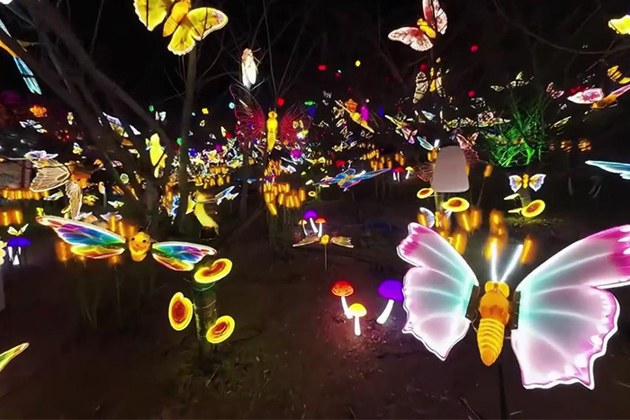 ��������˸��