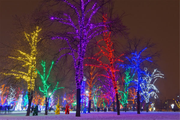 ������������