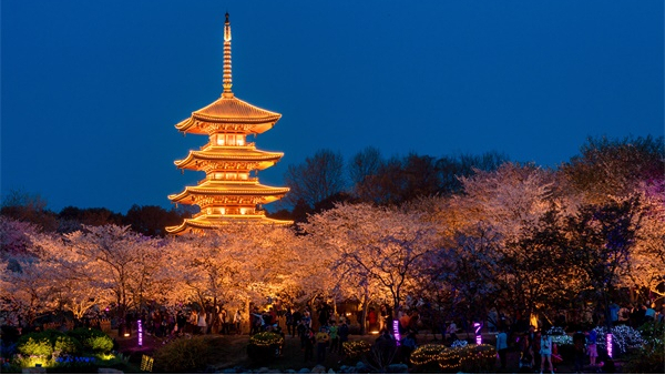 ԰�������������Ҫע����Щ���⣿��������������