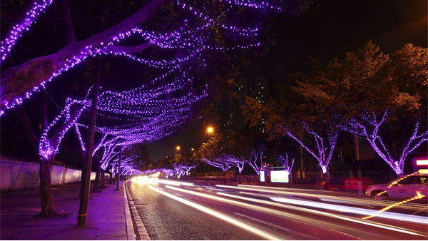 �辶������������������������һ��